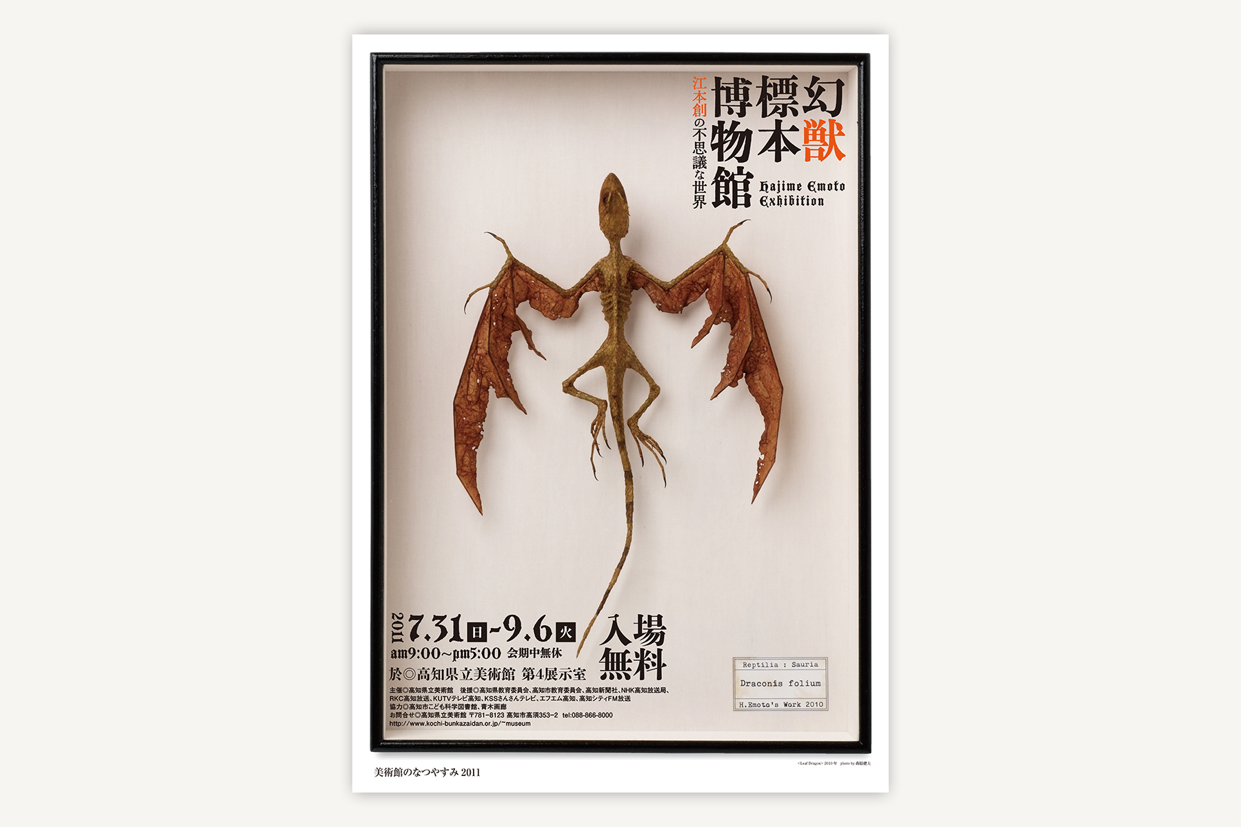 高知県立美術館のフライヤー（〜2018）｜幻獣標本博物館（2011）